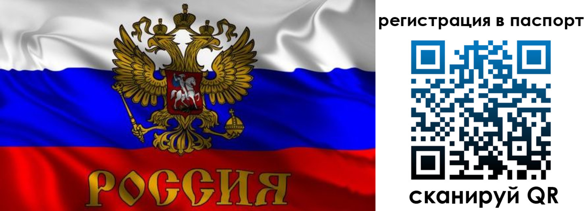 найти адрес прописки в Протвино